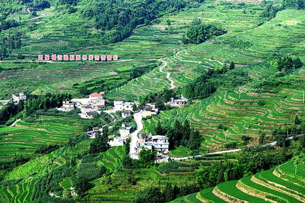 四川古藺縣高標(biāo)準(zhǔn)農(nóng)田建設(shè)項目